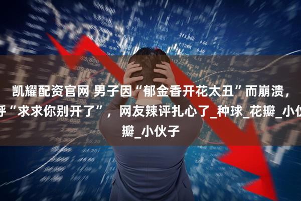 凯耀配资官网 男子因“郁金香开花太丑”而崩溃，直呼“求求你别开了”，网友辣评扎心了_种球_花瓣_小伙子