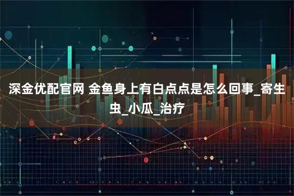 深金优配官网 金鱼身上有白点点是怎么回事_寄生虫_小瓜_治疗
