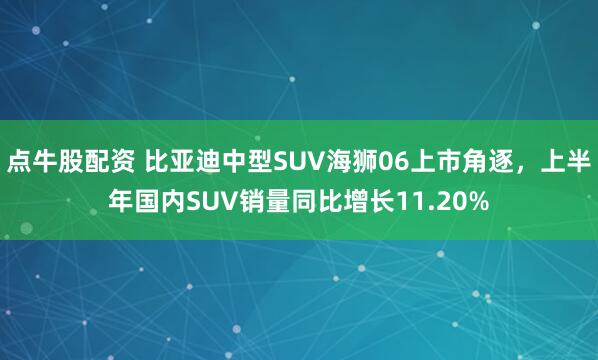点牛股配资 比亚迪中型SUV海狮06上市角逐，上半年国内SUV销量同比增长11.20%