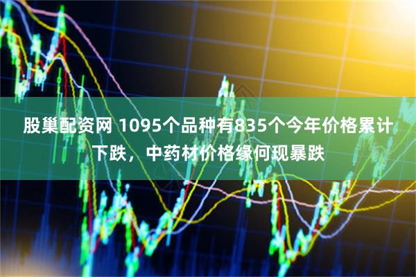 股巢配资网 1095个品种有835个今年价格累计下跌，中药材价格缘何现暴跌