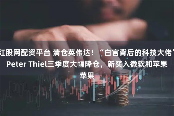 红股网配资平台 清仓英伟达!“白宫背后的科技大佬”Peter Thiel三季度大幅降仓,新买入微软和苹果
